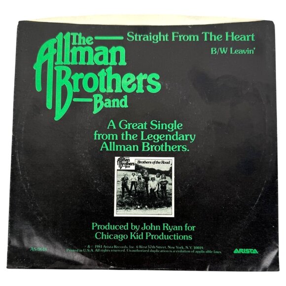 The Allman Brothers Band 45 RPM Vinyl Straight From The Heart Picture Sleeve 7” - Picture 3 of 7
